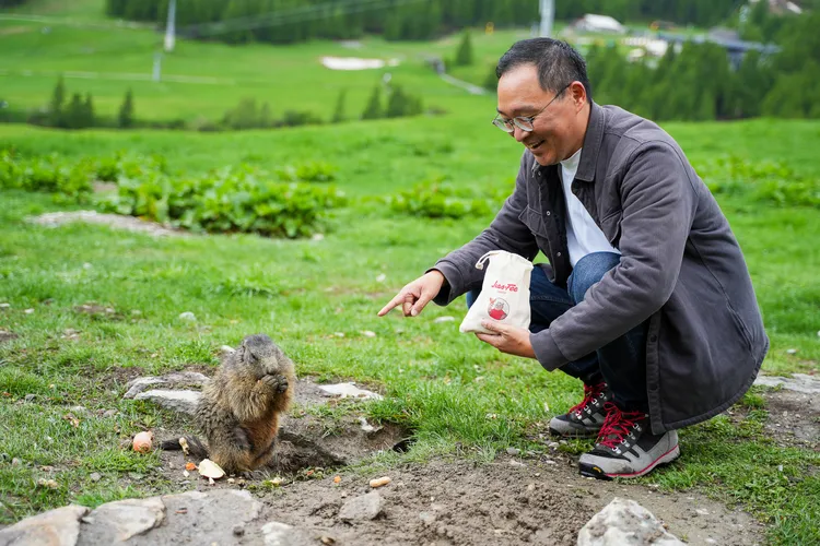 土撥鼠只能餵食堅果或胡蘿蔔。田欣雲攝