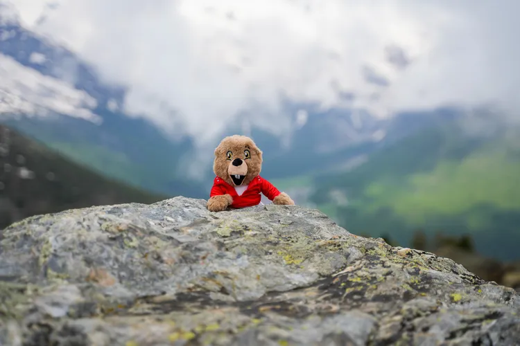 薩斯-格倫德的吉祥物正是可愛的土撥鼠。田欣雲攝