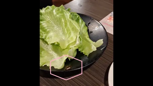 原地吓到!桃园烤肉店活蟑螂爬过生菜 一查网路评价:不是第一次...