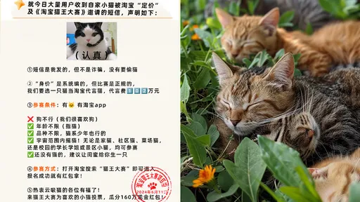 喵星人代言費高達445萬元 淘寶證實:不是詐騙、沒要偷貓