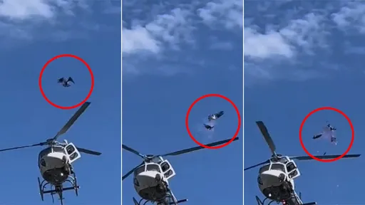 驚悚影片|魚鷹空中迎戰直升機 被螺旋槳連斬分屍炸出血霧