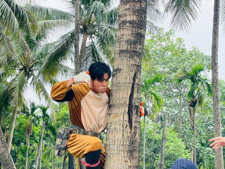 阿翔身穿猴子套裝，爬椰子樹。民視提供