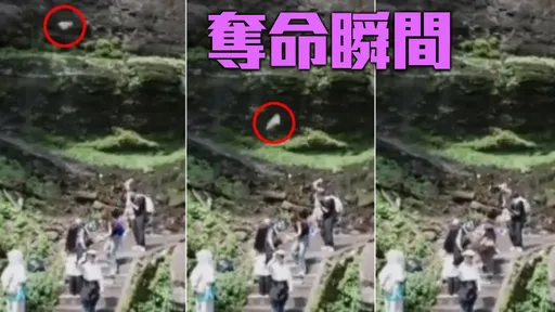 驚悚影片|落石直下三千尺 女遊客觀瀑被爆頭當場斃命