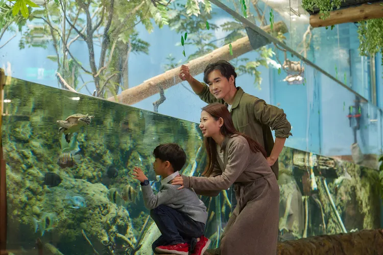 新感動 ×【世界海洋月，親子共學趣】。業者提供