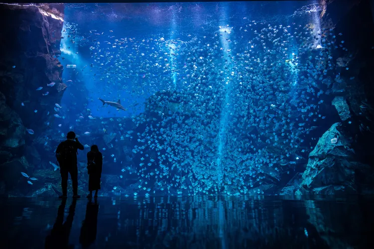 新感動 ×【打造浪漫星光夜 NIGHT PASS 2.0】。業者提供