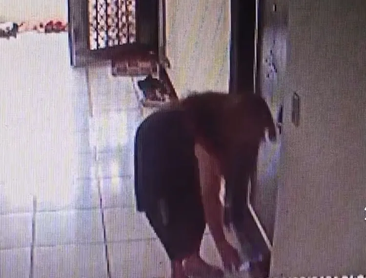 女惡鄰潑尿。投訴人提供