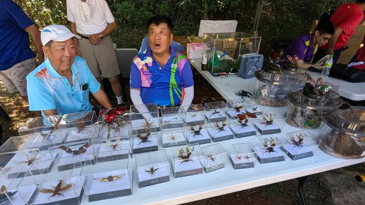 羊稠坑步道甲蟲復育有成。農業局提供