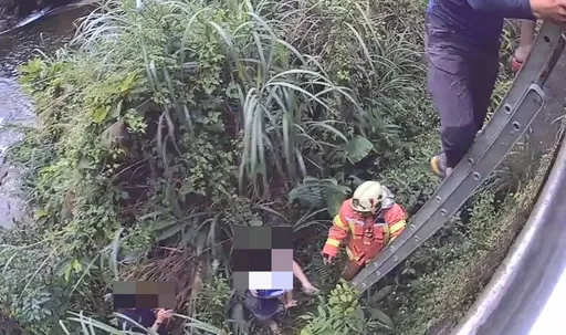 汐止一家四口區姜子寮溪邊遭蜂螫　母女一度受困