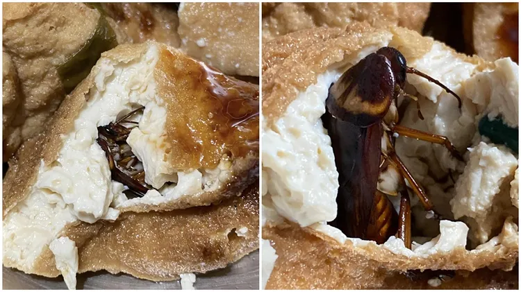 完整大蟑螂出現在油豆腐當中。翻攝自爆料公社二社