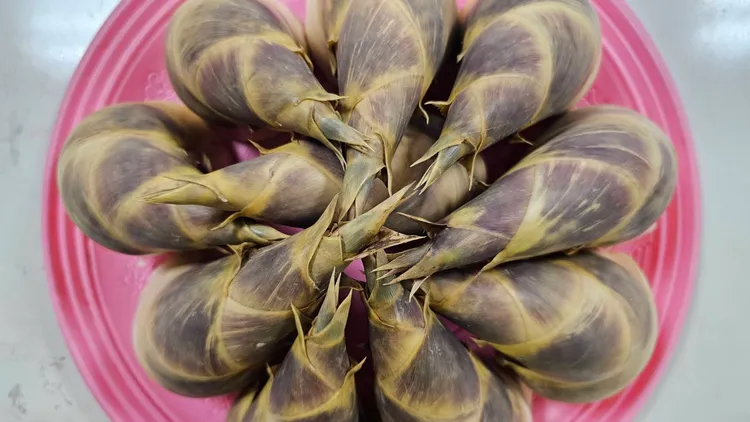 基隆市農會舉辦綠竹筍評鑑比賽，本次比賽由筍農陳文欽脫穎而出。翻攝照片