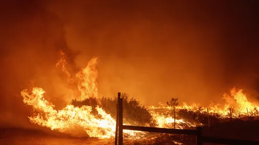燒掉4.27個大安區！加州野火燎原　千人撤離逾萬英畝土地付之一炬