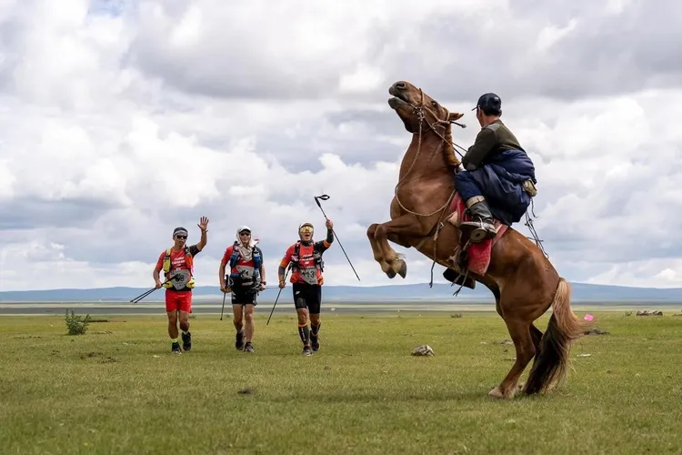 王仁甫參加蒙古戈壁極地馬拉松。翻攝自「王仁甫和季芹之永遠的芹仁」粉絲專頁