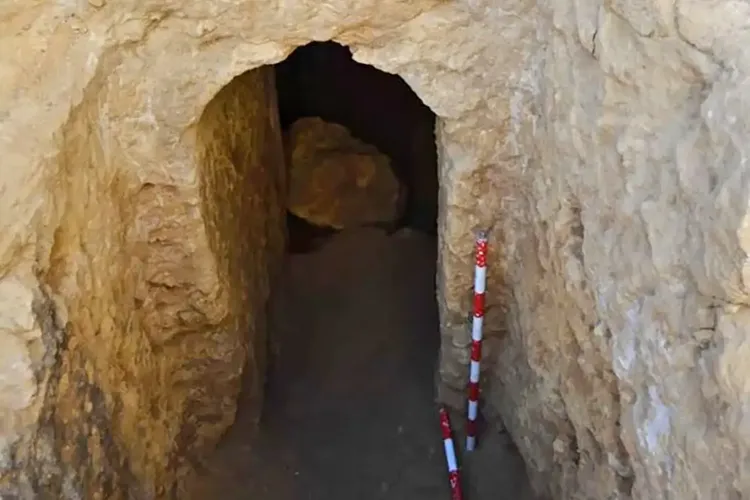 發現紅酒的陵墓。newscientist