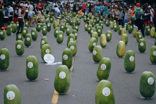 立蛋不稀奇!佳冬封街「800顆大西瓜站立」場面超壯觀