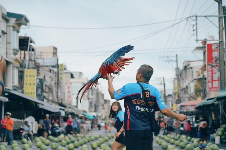 不少民眾都共襄盛舉，現場立了730顆大西瓜。翻攝自徐富癸立法委員臉書