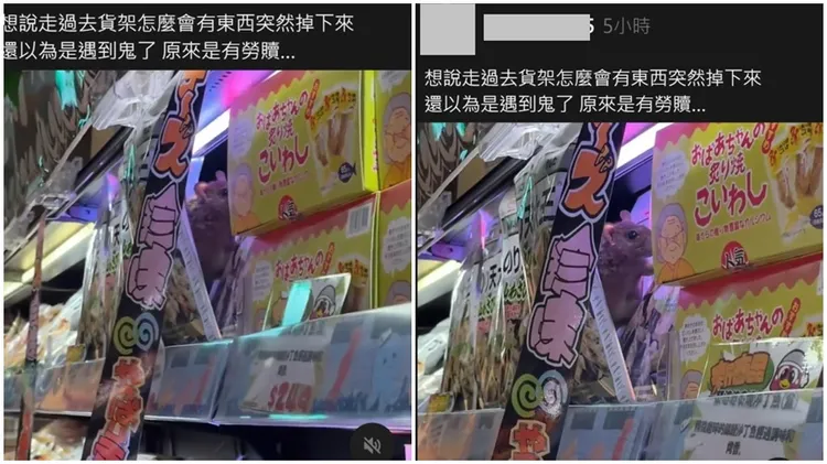 民眾拍到唐吉訶德西門店的貨架上有一隻老鼠。翻攝自壹佰伍臉書