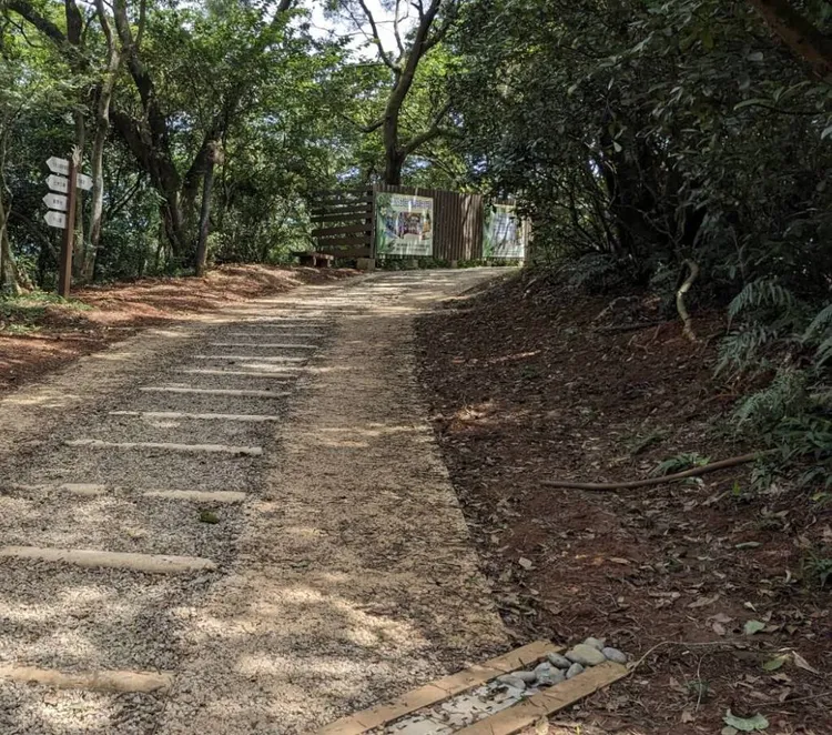 羊稠坑步道2020年曾獲選台灣百大必訪步道。農業局提供