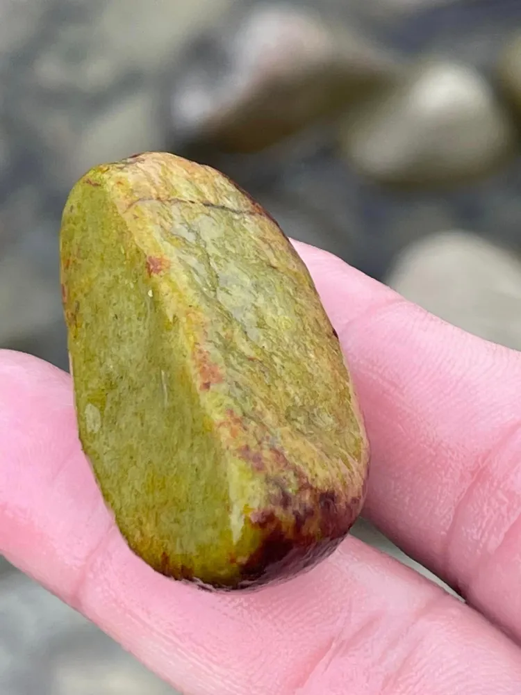 金山中角灣撿到「蘋果一片」，網友直喊：值得收藏。翻攝《西海岸花東撿玉石日記》社團