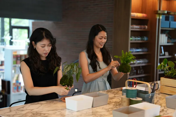 POUYUENJI HILLS「PLAY STUDIO課程」植感生活 體驗苔球植趣。業者提供