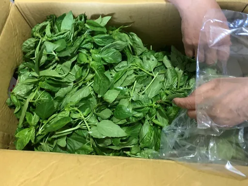 北市衛生局抽查蔬果農藥殘留!九層塔等12件不合格