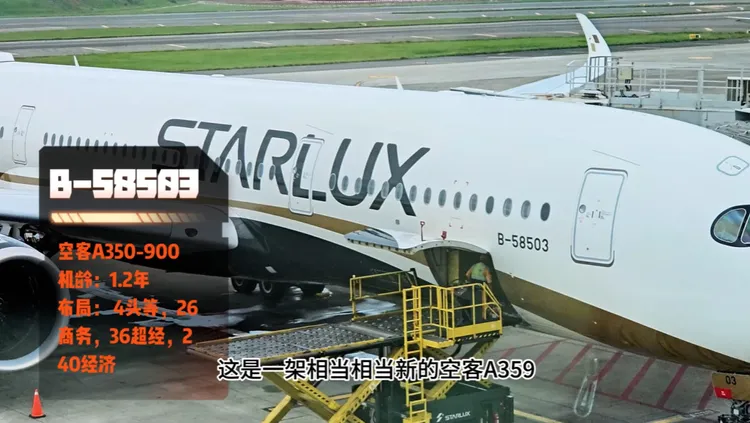 翻攝《金毛評測犬》的YouTube頻道