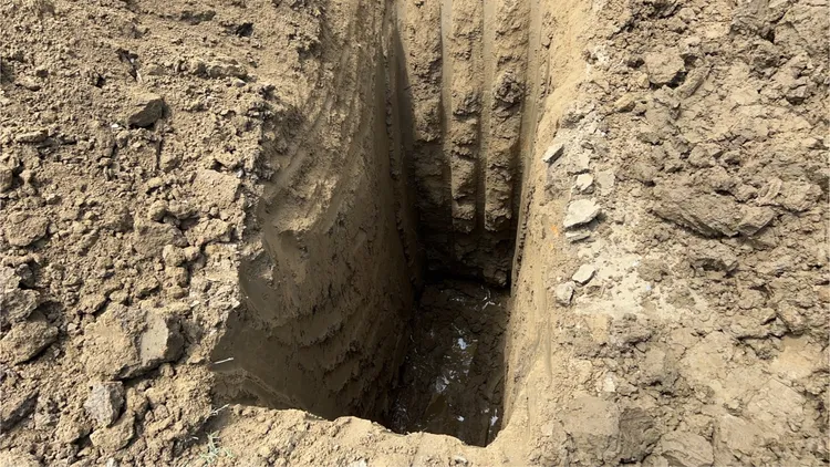 未發現有任何廢棄物。讀者提供