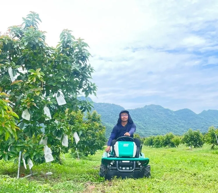 型農陳謀韋種植酪梨，3年內陸續取得生產溯源及產銷履歷驗證，今年並合作加工研發酪梨冰淇淋。農業局提供