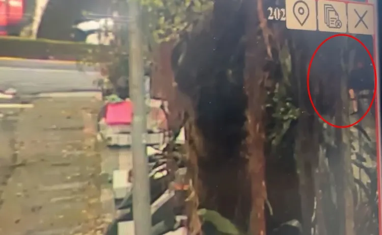 竊賊躲樹叢中搬運水錶。警方提供