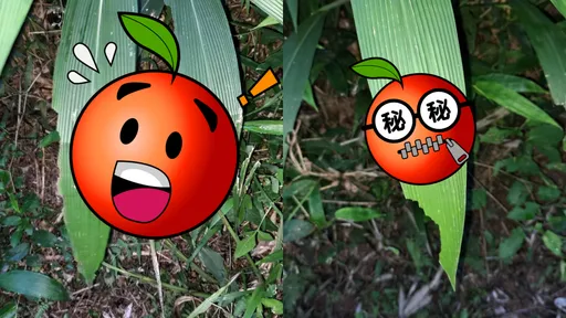 颱風草才1摺「今年只有1個襲台」?過來人曝內幕 專家解答了