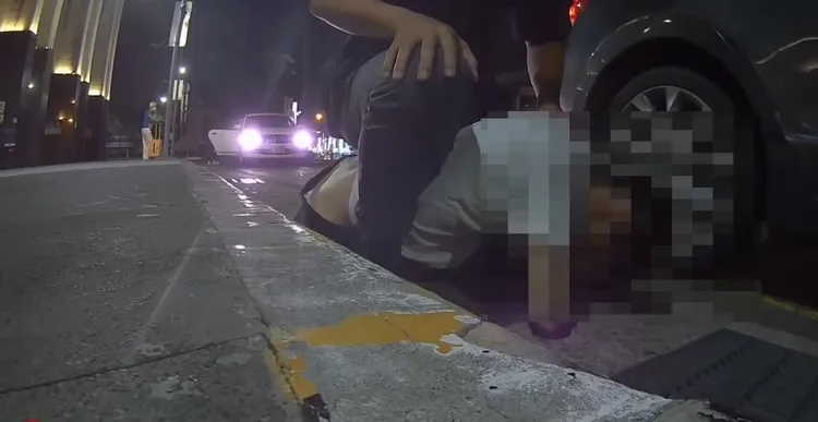 警方逮捕同夥林姓嫌犯。民眾提供