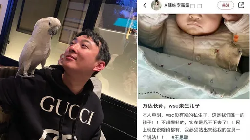 才冒私生女疑雲!富二代王思聰又有辣妹秀男娃稱「萬達長孫」 網虧:九子奪嫡