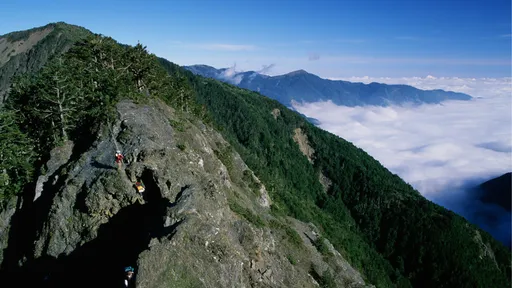 秀姑巒山積雪「輕裝」硬攀 登山客墜谷慘死!領隊判囚賠256萬