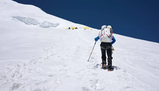 張元植命喪白朗峰!雪羊視界一張背影照「吾兄啊…」令人淚崩