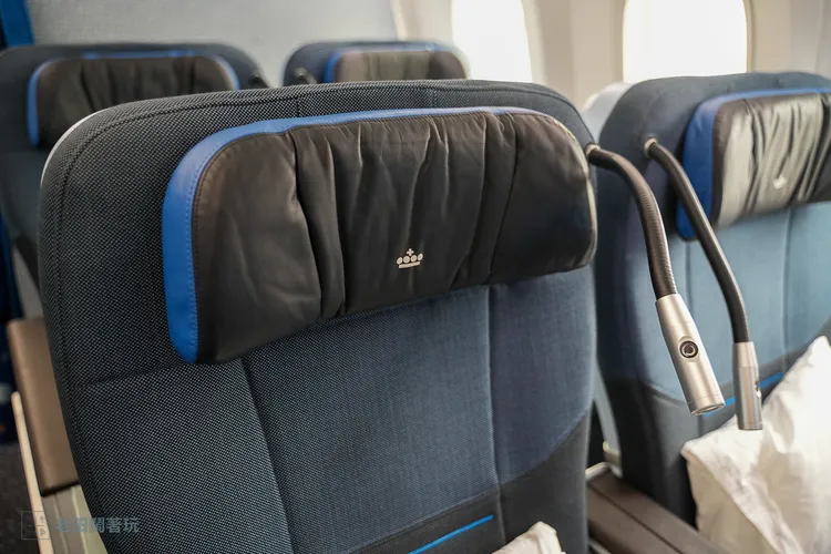 可調式頭枕。田欣雲攝