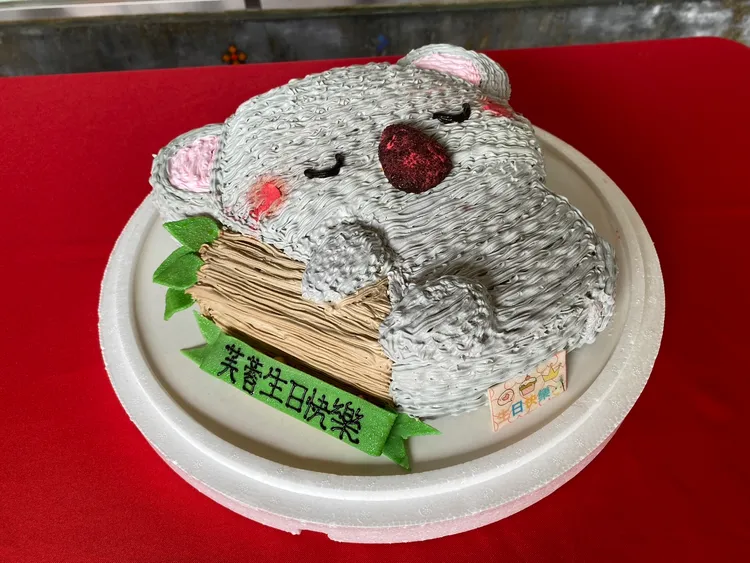 無尾熊芙蓉生日蛋糕。台北市立動物園提供