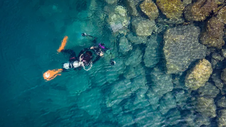 和平港是歐盟海事組織認證的生態港，也是台灣第一座取得環境教育設施場所認證的港口。台泥提供
