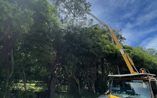 新竹沿海風陣風達10級 狂吹樹林打到配電線害近4千戶停電