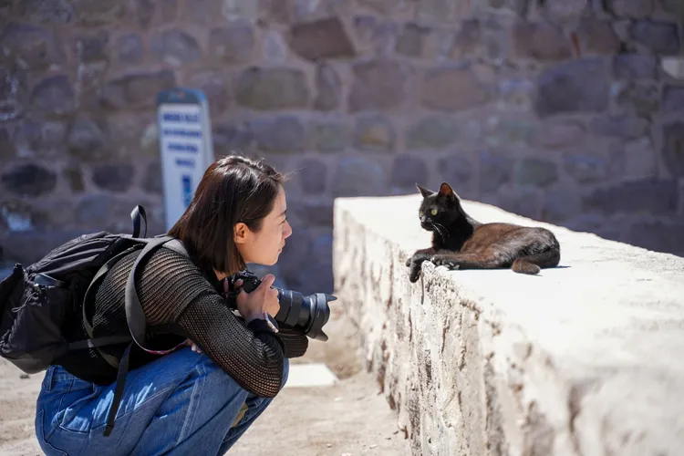 安卡拉城堡上的小貓吸引旅客駐足。老田鬧著玩提供