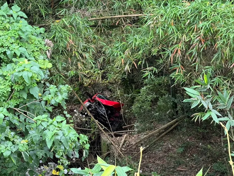 自小客車翻落邊坡。民眾提供