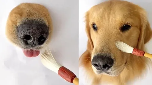 畫出栩栩如生的汪星人 只要備妥這一樣就搞定