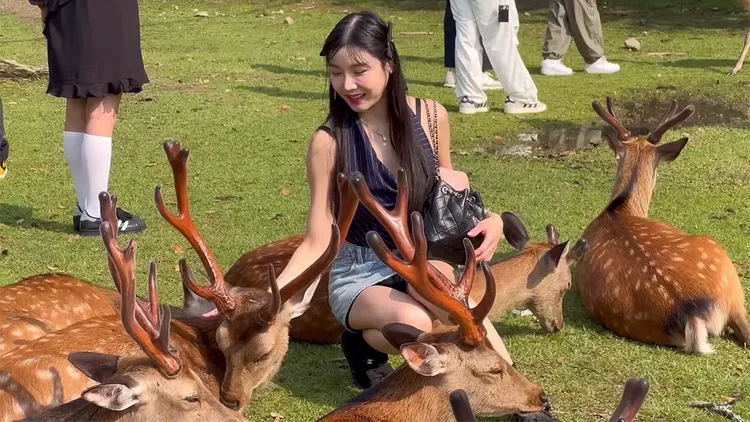 其他遊客拍到的畫面還女遊客清白。翻攝自YouTube