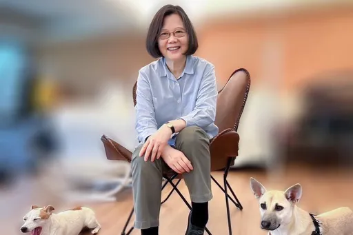 蔡英文卸任第二PO!近20萬人再次暴動 竟要求「前總統」E16蹲