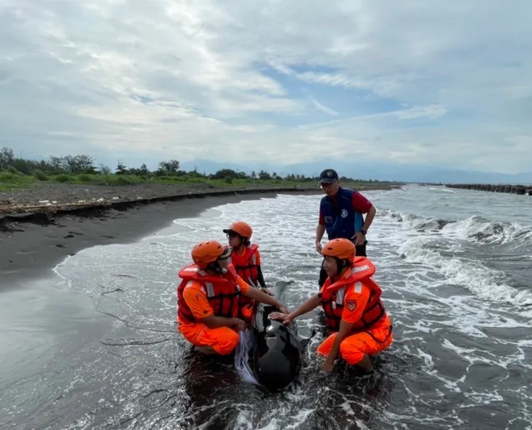 海巡弟兄獲報前往協助。海巡署提供