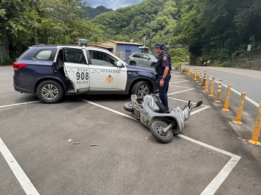 登山客遭虎頭蜂螫傷倒路旁 橫山警巡邏發現及時救命