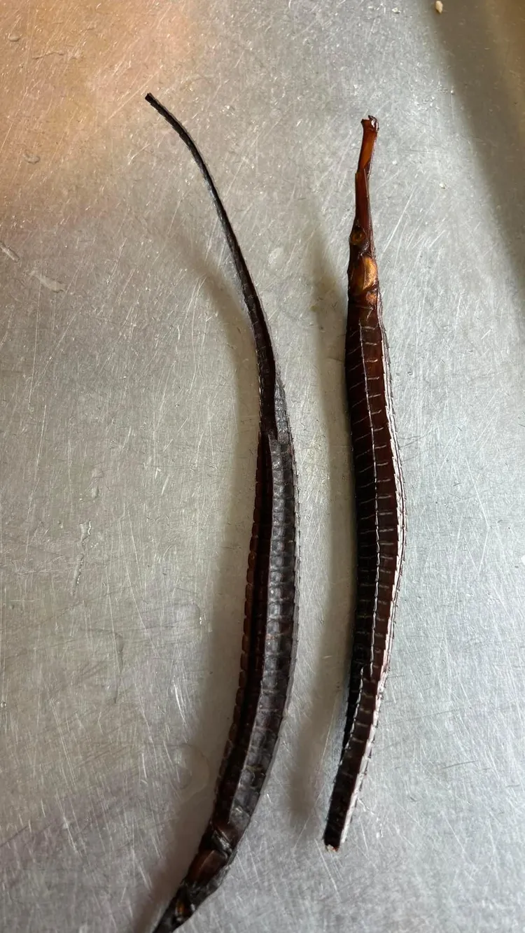 劉雪梅一度以為自己買的中藥材是塑膠做的，經專家檢視才發現誤會一場。翻攝劉雪梅臉書