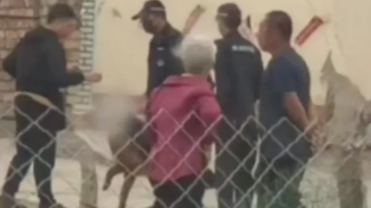 內蒙古呼和浩特當地警方搜尋命案現場。翻攝微博/內蒙古呼和浩特滅門事件