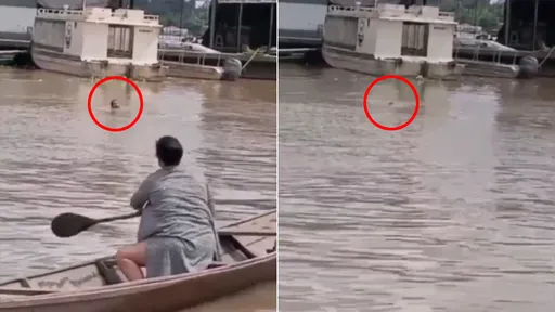 目擊19歲男落水溺斃 拍攝者不救!還調侃「你累了嗎?」