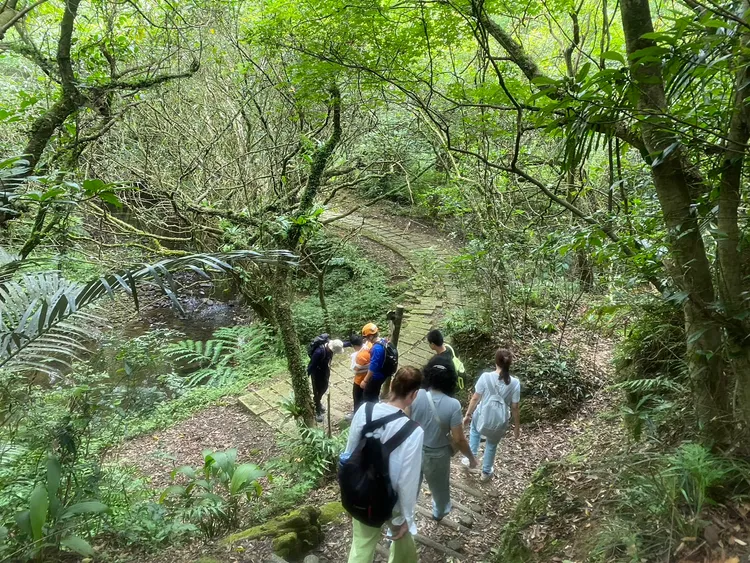 消防人員將患者帶下山。消防局提供