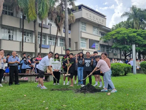 椰子樹高齡退役!世代傳承 六龜高中結業式全校偕同70歲校友再植鳳凰木