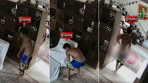 孫安佐普吉島呼麻闖宅脫褲　賠償損失與屋主和解